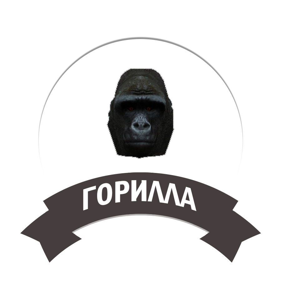 Горилла