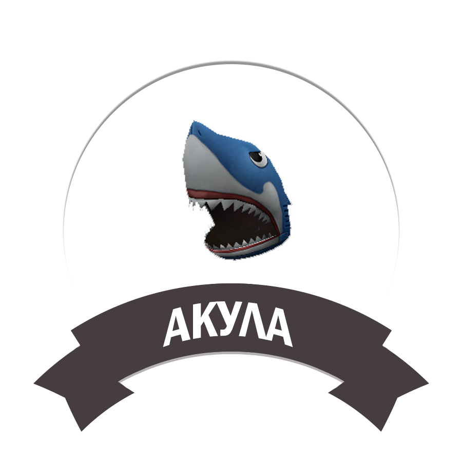 Акула