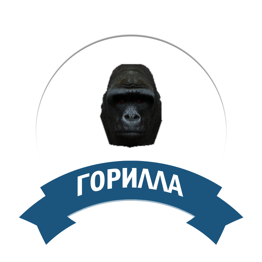 Горилла
